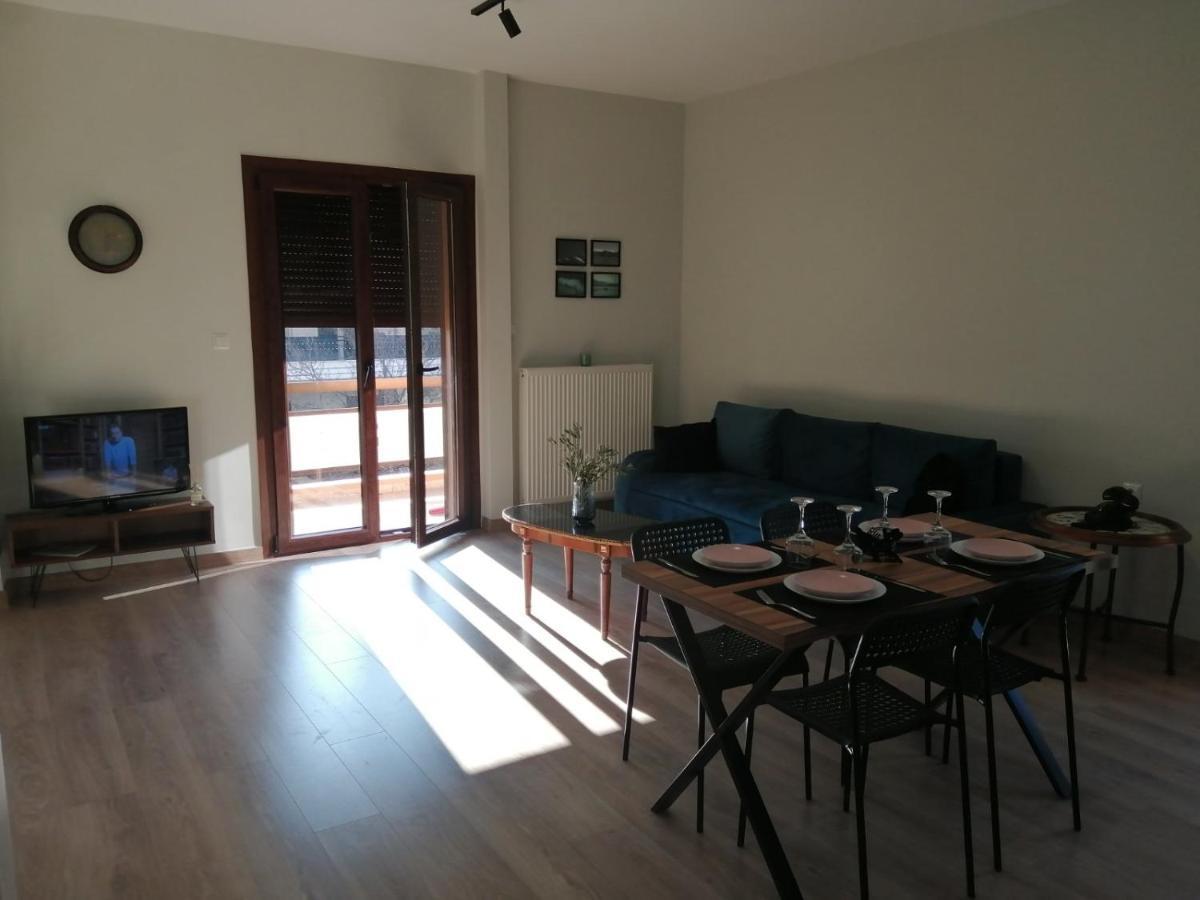 Eleana Διαμέρισμα Ιωάννινα Εξωτερικό φωτογραφία